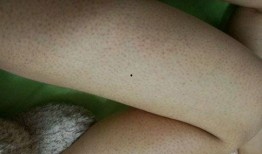 亚服吃鸡皮肤爆料最新版,最新版惊艳亮相，视觉盛宴即将开启！