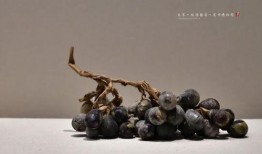 琉璃在线观看葡萄,葡萄的奇幻之旅